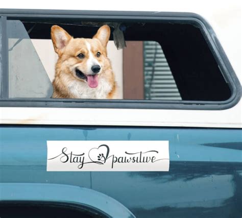 Design Custom Bumper Stickers Online