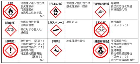 Image result for Objective Science Project Example