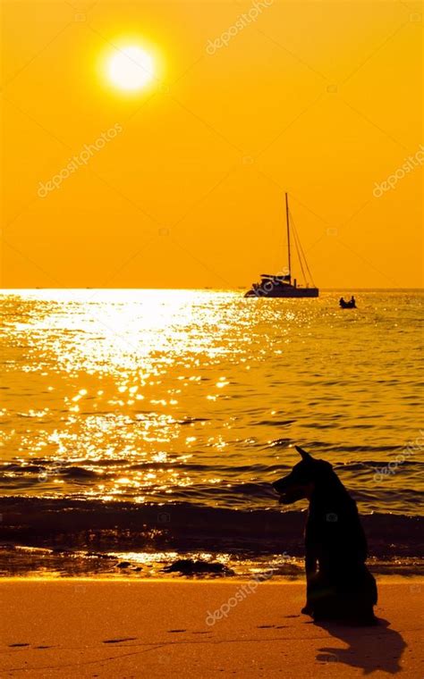 Image result for What Is a Prompt in Java