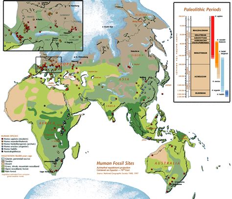 Image result for Fossil Formation Process Map