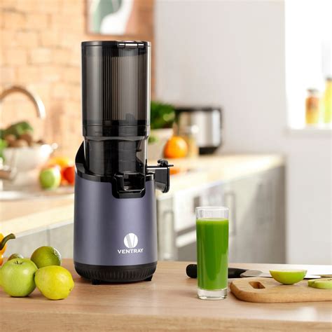 Juicer Vs Blender: Which One Is Best For You? – Ventray USA | Best ...