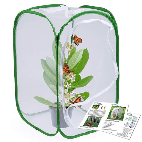 Buy RESTCLOUD 23.6" Large Butterfly Habitat Insect Cage Caterpillars ...
