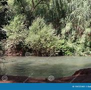 Image result for Water and Trees Israel