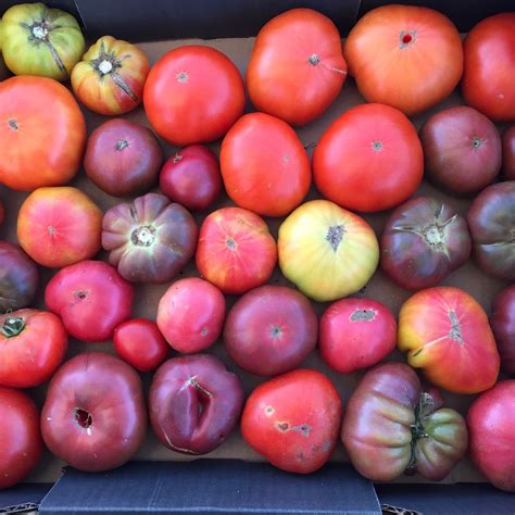 Seasonal Farmers' Market | Westside Community Market | Madison