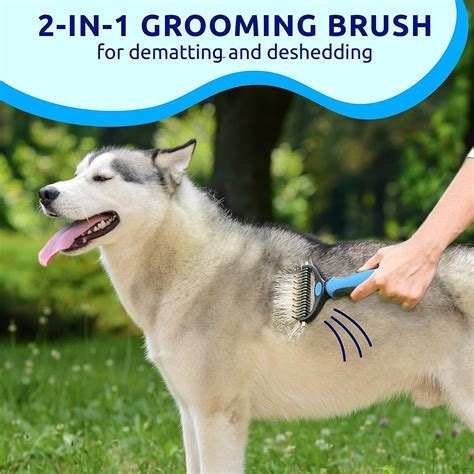 Best Dematting Tool For Dogs: Brushes, Combs, and Undercoat Care