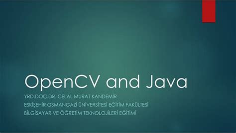 OpenCV Java Face 的图像结果