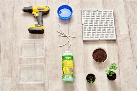 Basic Hydroponics for Beginners 的图像结果