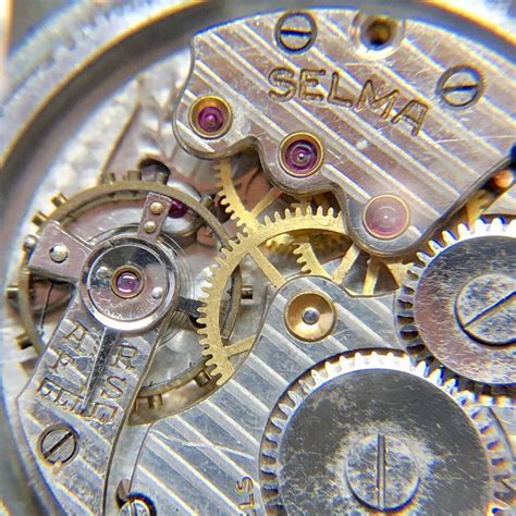 Watch Selma Sins Exclusive Porn Videos