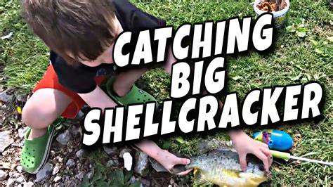 Image result for Shellcracker Fishing 2014