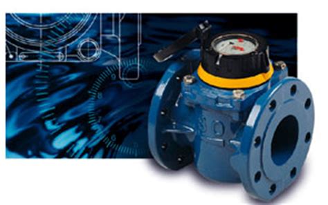 Bulk Flow Meter 的图像结果