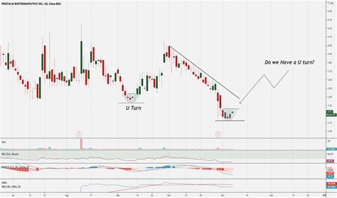 Image result for PLX Drawing