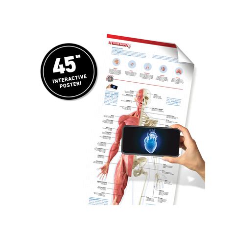 Image result for Virtual Reality Body Systems