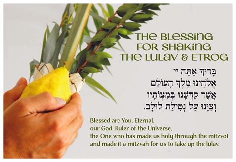Sukkot: The Blessing for Shaking the Lulav & Etrog Poster – Torah Aura ...