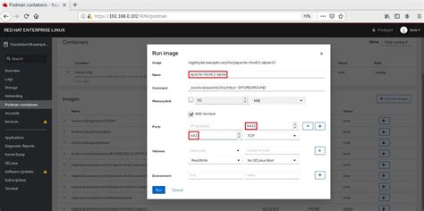 Podman RESTful API Python Example Code 的图像结果