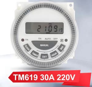 GoodsBazaar Digital Timer(TM-619-2) with Protect Cover 220V-Output 24 ...