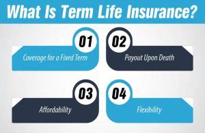 Image result for Term Life Insurance vs Life Insurance