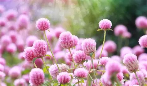 Finding Tullahoma TN Funeral Homes