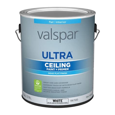 Valspar Ultra Flat Ceiling White Ceiling Paint and Primer (1-Gallon ...