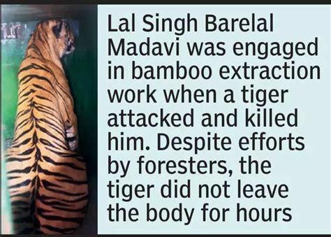 Israel moves hospitals underground: World's largest underground ...