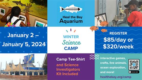 Heal the Bay Aquarium Science Camp - Heal the Bay