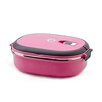 Buy Tuelip Giftsplanet Homio Oval Stainless Steel Lunch Box, 900ml ...
