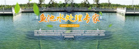 全自动循环水设备_ 济宁艺水芳源生态水族设备有限公司