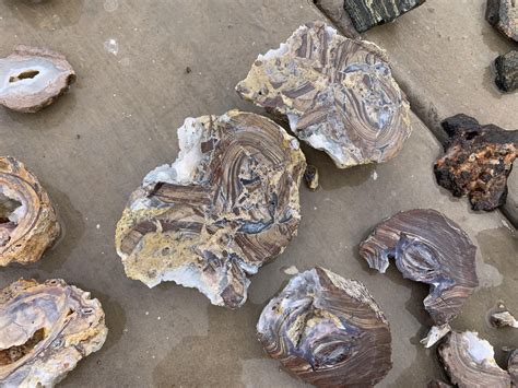 We went to Dugway geode beds Utah a few weeks ago for the first time ...