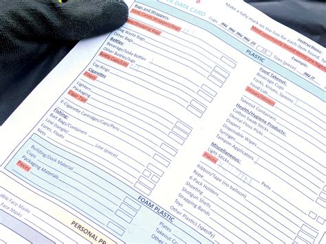 At 40th Annual Beach Sweeps, Volunteers Clean Up Sea Bright and Beyond ...