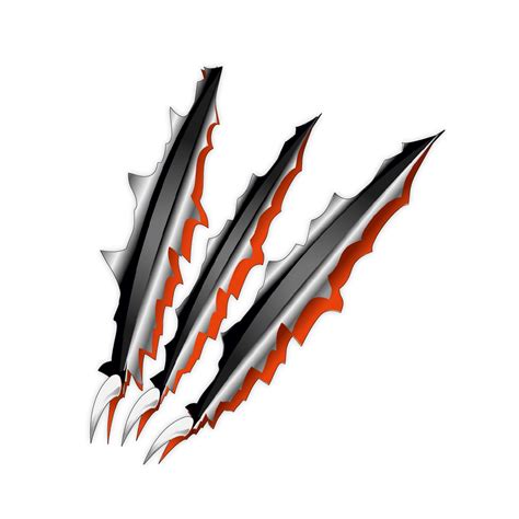 SIGNOOGLE Scratch Design Graphics 3D Sticker for Car Dent and Bike Body ...