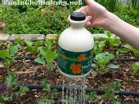 Image result for Science Club Ideas