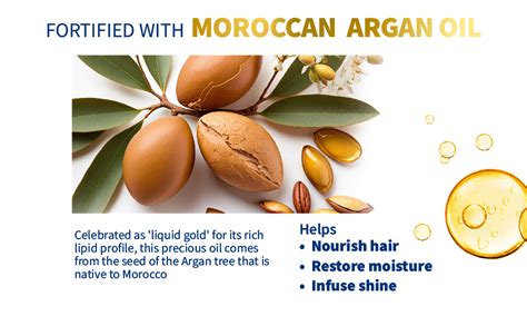 Buy St.Botanica Moroccan Argan Hair Conditioner 300ml with Moroccan ...