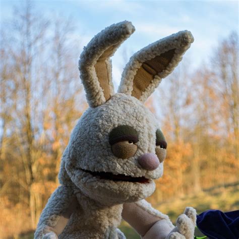 Image result for Rabbit Puppet