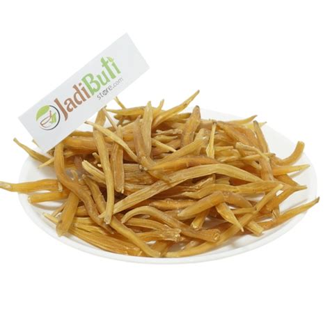 Shatawar - शतावर - Wild Asparagus - Asparagus racemosus – Jadibuti Store