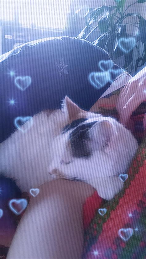 arrecha on Twitter: "mi amorcita https://t.co/aS80X6792e" / Twitter