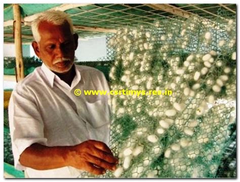 Senior Citizen in Sericulture | Central Sericultural Research ...