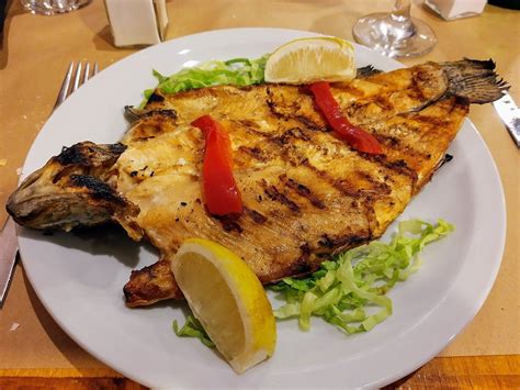 La Plata Tourism (2021): Best of La Plata, Argentina - Tripadvisor