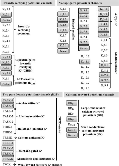 Image result for Channel AV Classification