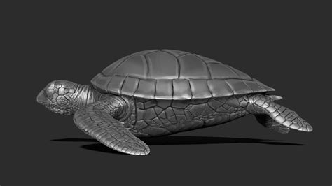 Turtle print 3D by coc3d | 3DOcean