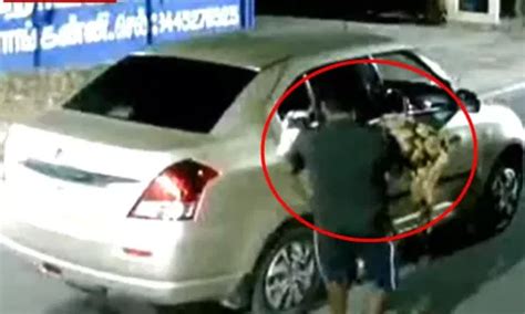 CCTV shows gang in Nagapattinam taking goats in car after stealing them