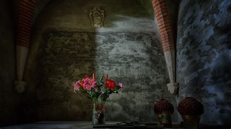 Download wallpaper flowers, background, the crypt, section interior in ...