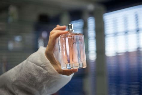 La importancia de la ambientación y presentación