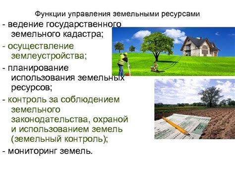 Землеустройство - это что такое? Основы и виды землеустройства