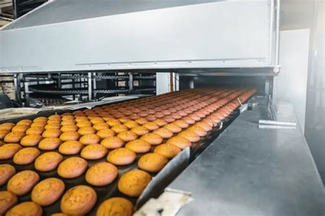 Eco-Friendly Biscuit and Chips Production Methods and Practices | Spans