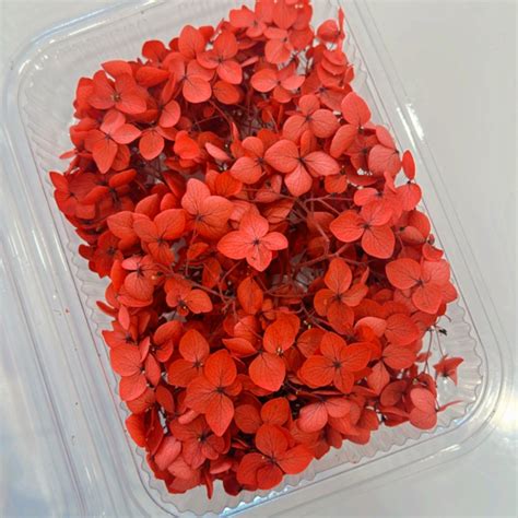 Red Hydra Flower Box – Resin24