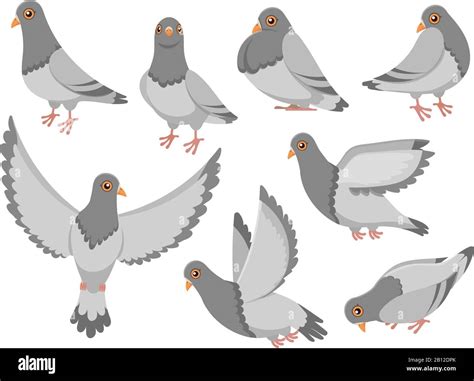 Rock dove birds Stock Vector Images - Alamy