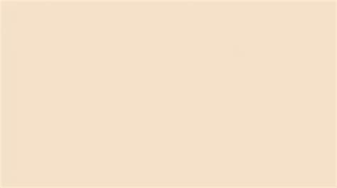 Beige solid background | Premium Photo
