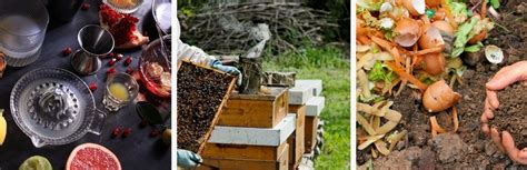 Introduction to Permaculture , The Waitaki Community Gardens, Waimate ...