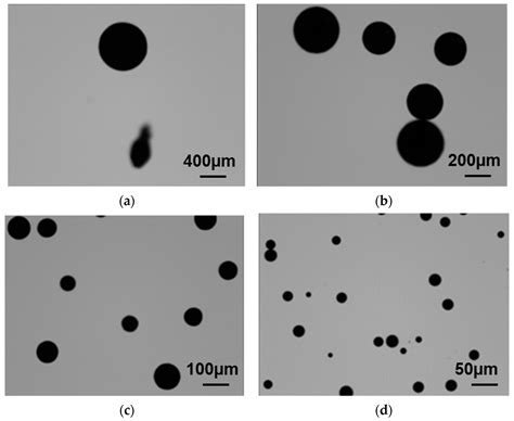 Effect of Preparation Process on the Microstructure and Characteristics ...