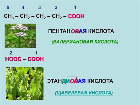 Карбоновые кислоты - органические соединения, содержащие в своем ...