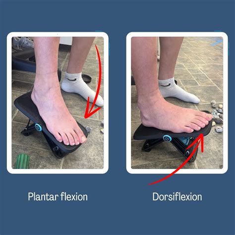 Why is it essential to incorporate exercises targeting dorsiflexion and ...